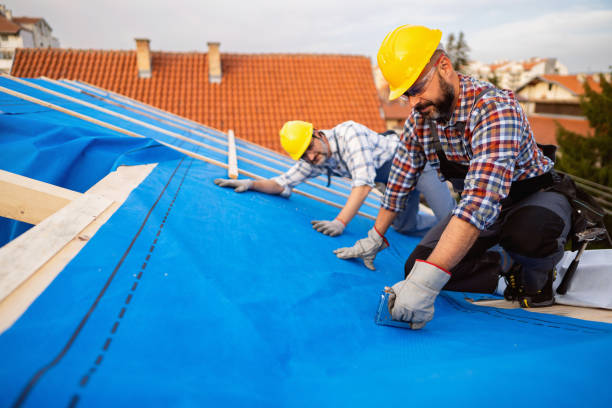 Best Chimney Flashing Repair  in Montpelier, OH
