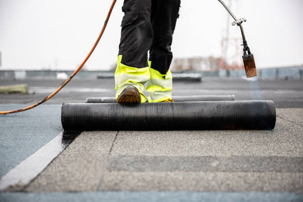 Best Metal Roofing Installation  in Montpelier, OH